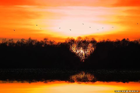 Gemeinde Ering Landkreis Rottal-Inn Unterer Inn Landschaft Sonnenuntergang (Dirschl Johann) Deutschland PAN